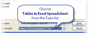 004_chose_tables_in_excel
