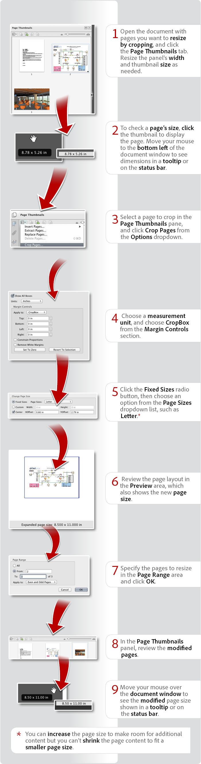 adobe acrobat xi professional vs standard