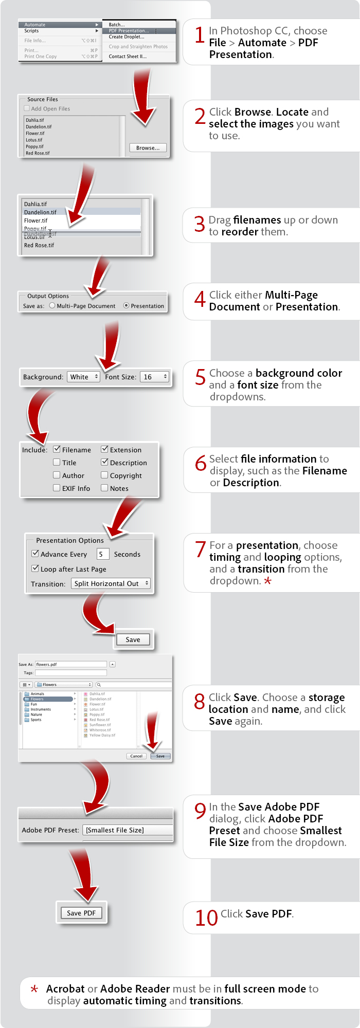 coutput pdf from jpegs in adobe bridge cs5